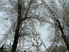 -哈尔滨文化公园