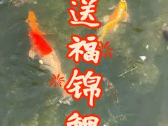 -观唐（国际）度假村温泉