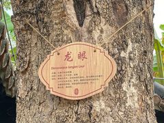 -粤剧艺术博物馆