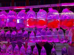 -华声天桥民俗文化园