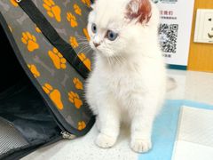 -联合动物医院(光谷诊疗中心)