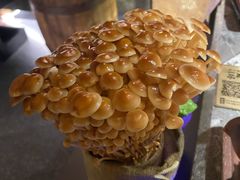-麻路成都火锅(柏威年店)
