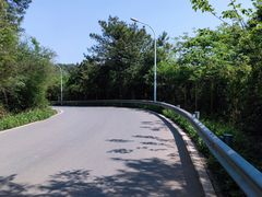 -青龙山国家森林公园