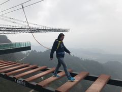 -梦幻奥陶纪景区