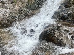 -梧桐山风景名胜区