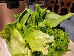 -旺金鸽·传承15年老字号·手工早茶(荔湾坦尾桥中店)
