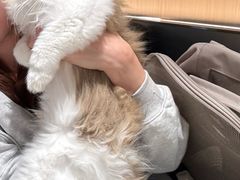 -爱洗澡的猫(天河路店)