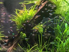 -上海海洋水族馆