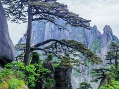 -黄山风景区