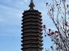-西海子公园