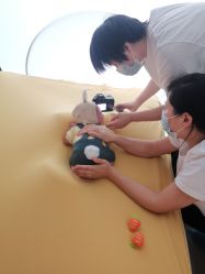 -安馨月子会所(旗舰店)