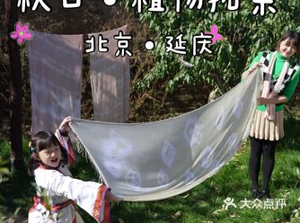 山楂小院丨秋日植染,带上亲友体验自然之美
