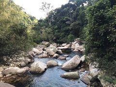 -海南热带雨林国家公园吊罗山景区