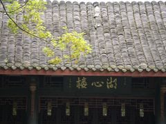 -桂湖森林公园