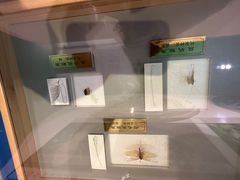 -上海昆虫博物馆