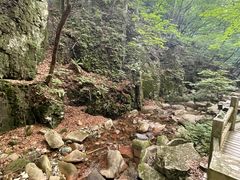 -本溪汤沟绿石谷森林公园