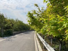 -树山生态村