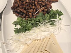 -大鸭梨烤鸭(顺义石园店)