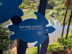 -广东惠东海龟国家级自然保护区