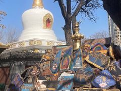 -护国法轮寺