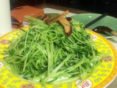 枣丝炒豆苗-那家小馆•北京菜•烤鸭(中关村店)