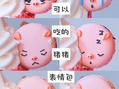 -WHEN PIGS FLY当猪飞