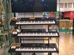 -柏斯音乐艺术中心·钢琴·吉他(上音店)