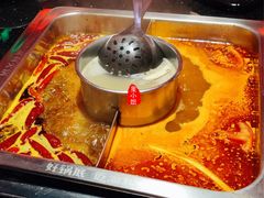 醉重庆鸳鸯锅-渝利重庆火锅
