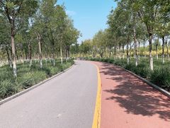 -天津东丽湖风景区