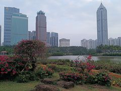 -万绿园