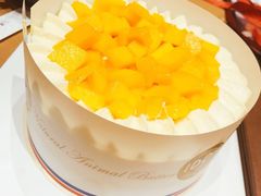 -维尔纳斯·生日蛋糕·动物奶油冰淇淋蛋糕(六里桥店)