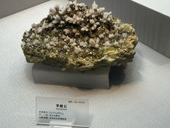 -湖南省地质博物馆