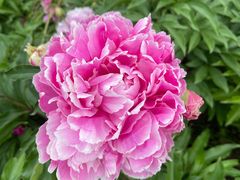 -长春公园(普阳街道)