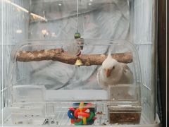 -富贵面包公司(运河店)