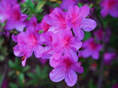 -苏州河梦清园环保主题公园