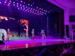 -南风大剧院莎梦二人转剧场