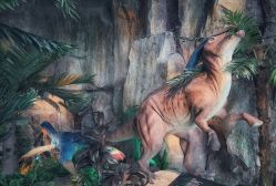 -恐龙探索乐园(磁器口店)