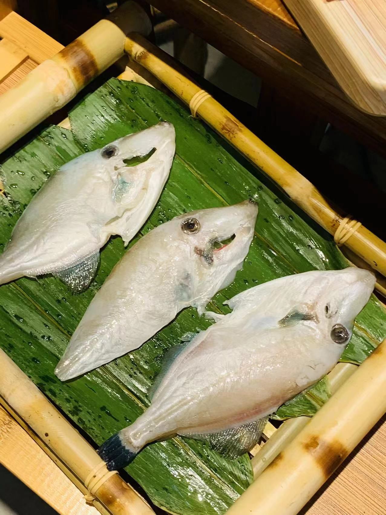 耗儿鱼真的很配火锅🔥