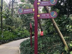 -成都市活水公园