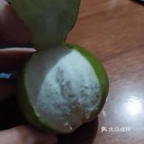 买水果去某宝