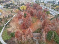 -长广溪湿地公园