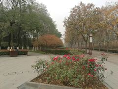 -洛阳市隋唐城遗址植物园