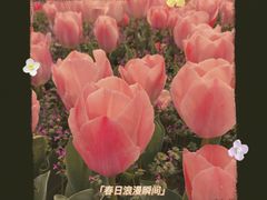 -无锡梅园公园