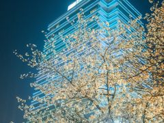 -西北湖绿化广场