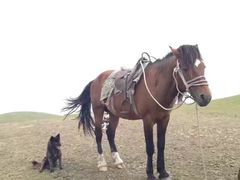 -北极村旅游风景区