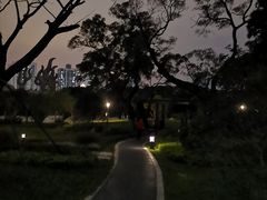 -四海公园(南山区)