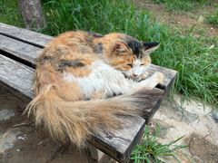 -北京西山国家森林公园