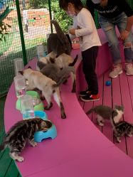 -萌宠亲子动物乐园(槐房万达店)