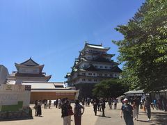 -名古屋城