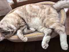 -雕刻时光·咖啡·酒吧·西餐(香山店)